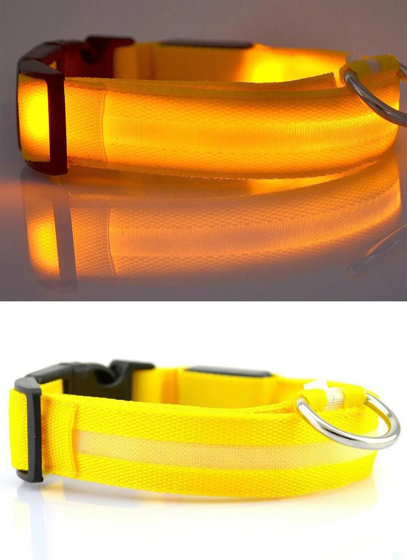 YUDODO-LED Coleiras Fluorescentes Luminosas para Animais de Estimação, Segurança Noturna, Brilho Piscando, Nylon, Trela Do Cão, Pet fornecimentos