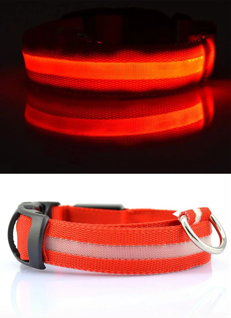 YUDODO-LED Coleiras Fluorescentes Luminosas para Animais de Estimação, Segurança Noturna, Brilho Piscando, Nylon, Trela Do Cão, Pet fornecimentos