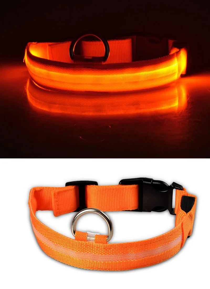 YUDODO-LED Coleiras Fluorescentes Luminosas para Animais de Estimação, Segurança Noturna, Brilho Piscando, Nylon, Trela Do Cão, Pet fornecimentos