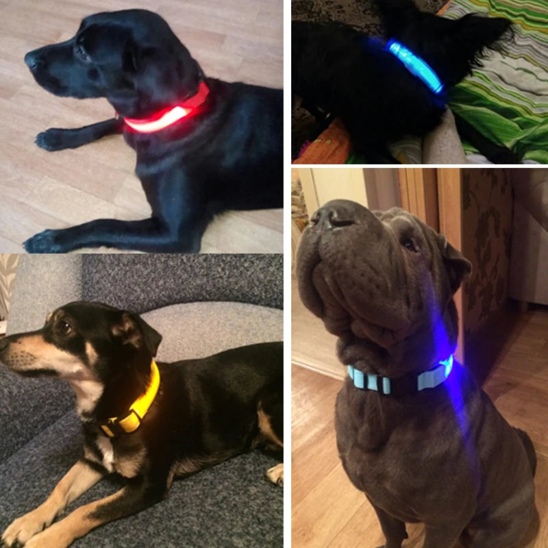 YUDODO-LED Coleiras Fluorescentes Luminosas para Animais de Estimação, Segurança Noturna, Brilho Piscando, Nylon, Trela Do Cão, Pet fornecimentos