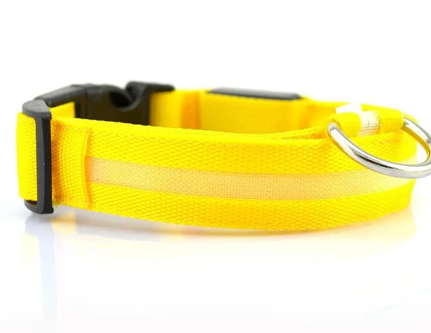 YUDODO-LED Coleiras Fluorescentes Luminosas para Animais de Estimação, Segurança Noturna, Brilho Piscando, Nylon, Trela Do Cão, Pet fornecimentos