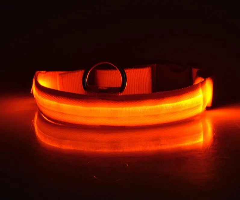 YUDODO-LED Coleiras Fluorescentes Luminosas para Animais de Estimação, Segurança Noturna, Brilho Piscando, Nylon, Trela Do Cão, Pet fornecimentos