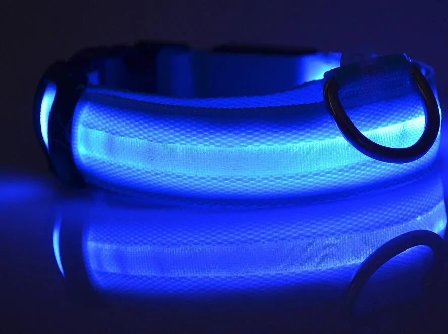 YUDODO-LED Coleiras Fluorescentes Luminosas para Animais de Estimação, Segurança Noturna, Brilho Piscando, Nylon, Trela Do Cão, Pet fornecimentos