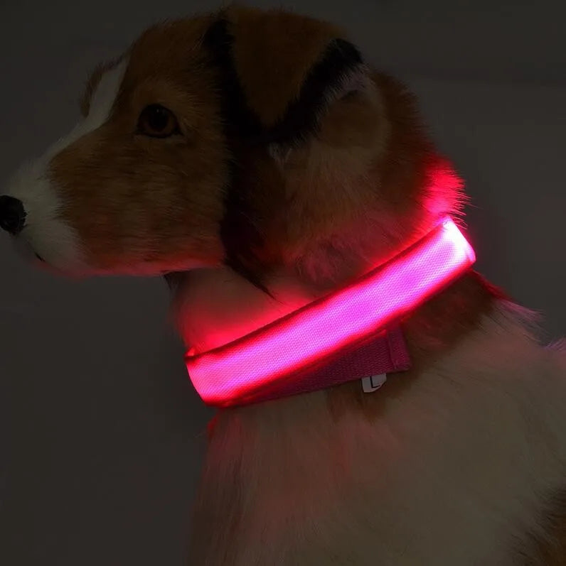 YUDODO-LED Coleiras Fluorescentes Luminosas para Animais de Estimação, Segurança Noturna, Brilho Piscando, Nylon, Trela Do Cão, Pet fornecimentos
