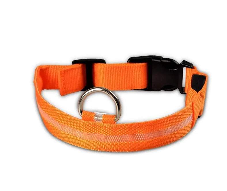 YUDODO-LED Coleiras Fluorescentes Luminosas para Animais de Estimação, Segurança Noturna, Brilho Piscando, Nylon, Trela Do Cão, Pet fornecimentos