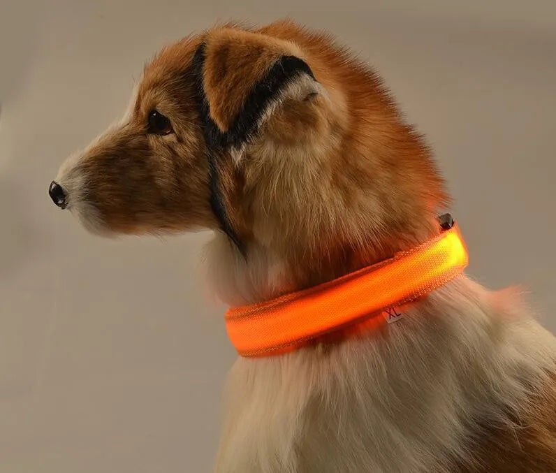 YUDODO-LED Coleiras Fluorescentes Luminosas para Animais de Estimação, Segurança Noturna, Brilho Piscando, Nylon, Trela Do Cão, Pet fornecimentos