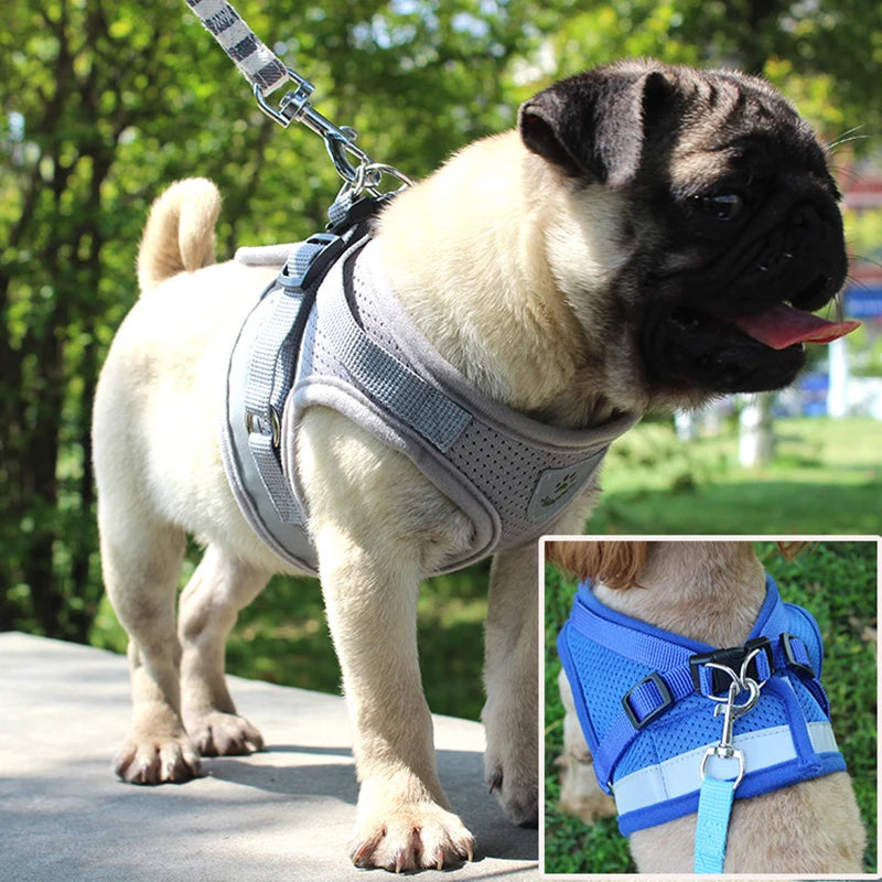 Conjunto Refletivo Cat Harness and Leash, Malha de Nylon, Gatinho, Cachorro, Colete De Cães, Leads De Arnês, Roupa De Animais Para Cães Pequenos, Yorkies, Pug