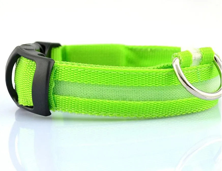 YUDODO-LED Coleiras Fluorescentes Luminosas para Animais de Estimação, Segurança Noturna, Brilho Piscando, Nylon, Trela Do Cão, Pet fornecimentos