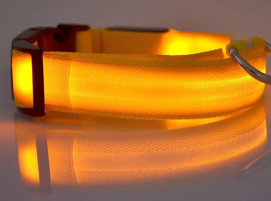 YUDODO-LED Coleiras Fluorescentes Luminosas para Animais de Estimação, Segurança Noturna, Brilho Piscando, Nylon, Trela Do Cão, Pet fornecimentos