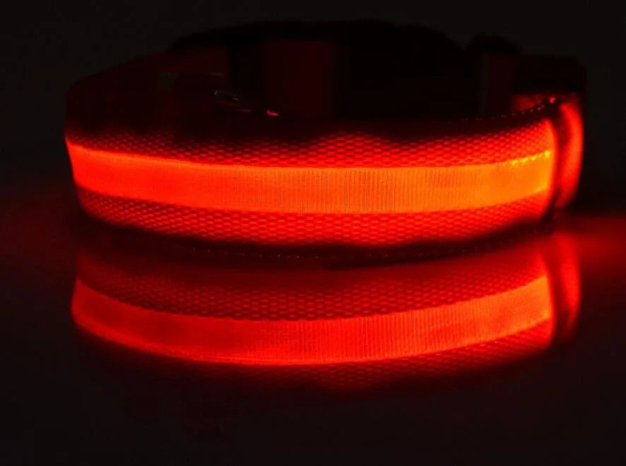 YUDODO-LED Coleiras Fluorescentes Luminosas para Animais de Estimação, Segurança Noturna, Brilho Piscando, Nylon, Trela Do Cão, Pet fornecimentos
