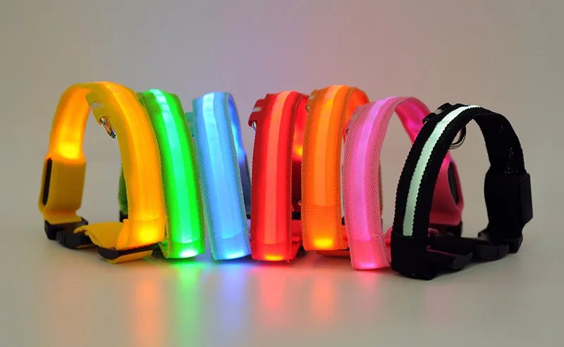 YUDODO-LED Coleiras Fluorescentes Luminosas para Animais de Estimação, Segurança Noturna, Brilho Piscando, Nylon, Trela Do Cão, Pet fornecimentos