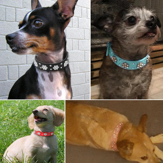 Coleira diamante de couro com strass para cachorro, colar para cães pequenos e médios, com cristal brilhante, rosa e vermelho