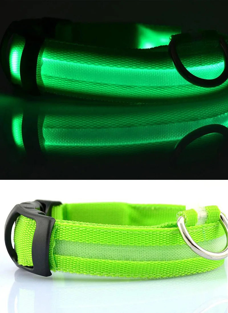YUDODO-LED Coleiras Fluorescentes Luminosas para Animais de Estimação, Segurança Noturna, Brilho Piscando, Nylon, Trela Do Cão, Pet fornecimentos