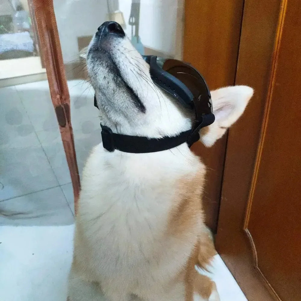 Óculos de sol para cães ajustáveis, óculos de sol anti-uv, proteção para os olhos, preto, amplamente utilizado, suprimentos para cães de estimação