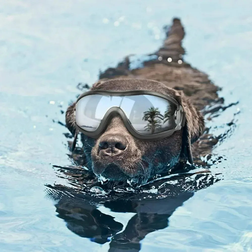 Óculos de sol para cães ajustáveis, óculos de sol anti-uv, proteção para os olhos, preto, amplamente utilizado, suprimentos para cães de estimação