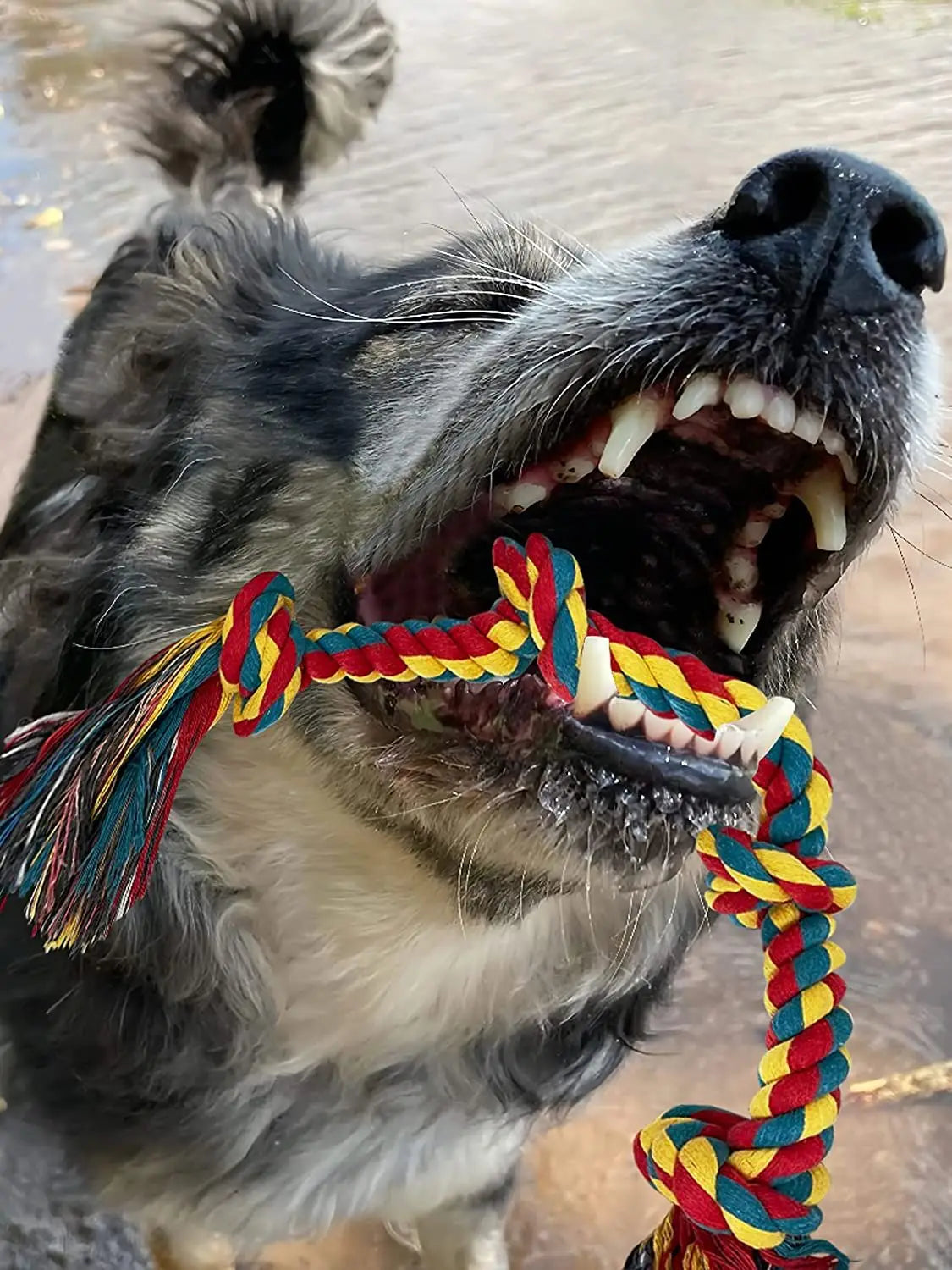 Cão mordida corda brinquedos pet moagem dente brinquedos corda de algodão material inofensivo cães brinquedos de limpeza de dentes pet cão corda brinquedos
