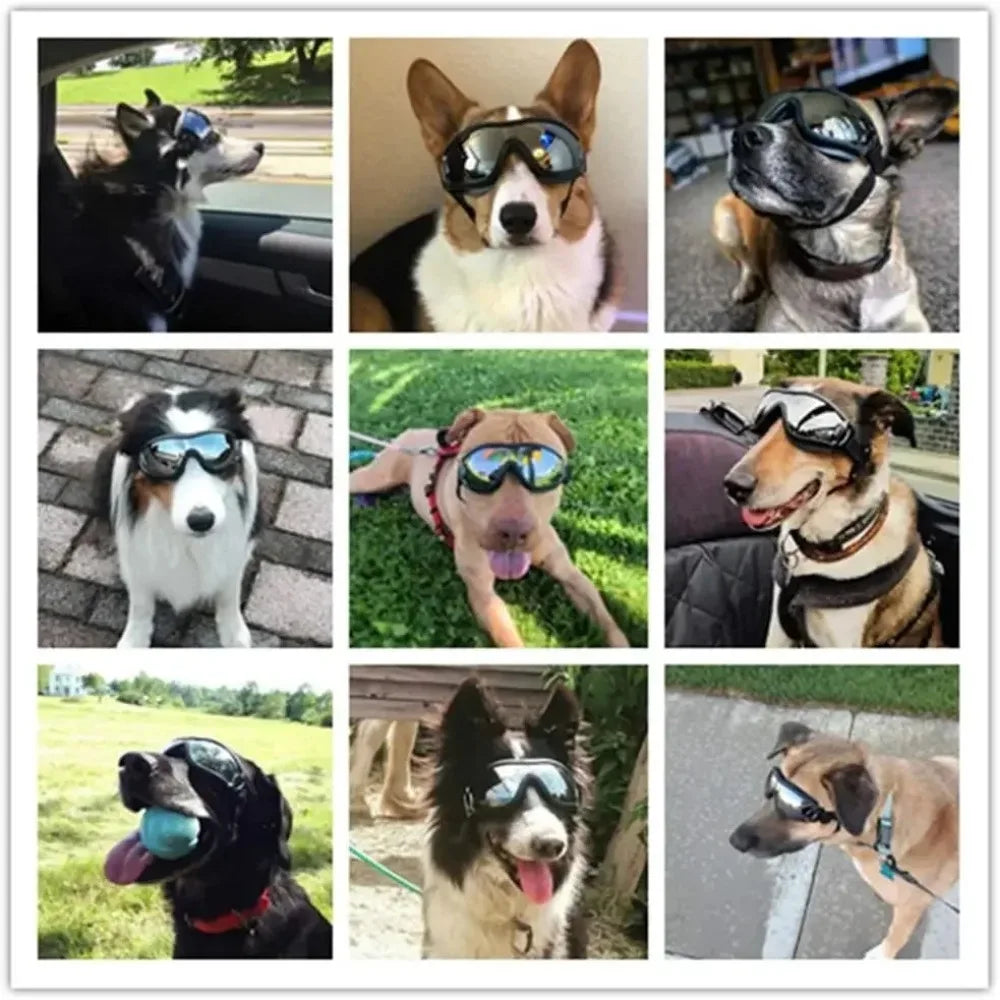 Óculos de sol para cães ajustáveis, óculos de sol anti-uv, proteção para os olhos, preto, amplamente utilizado, suprimentos para cães de estimação