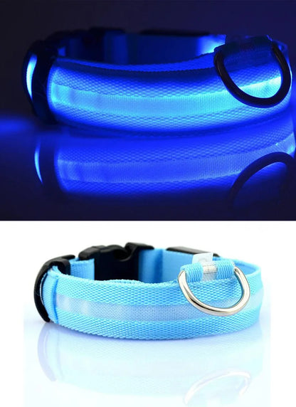 YUDODO-LED Coleiras Fluorescentes Luminosas para Animais de Estimação, Segurança Noturna, Brilho Piscando, Nylon, Trela Do Cão, Pet fornecimentos