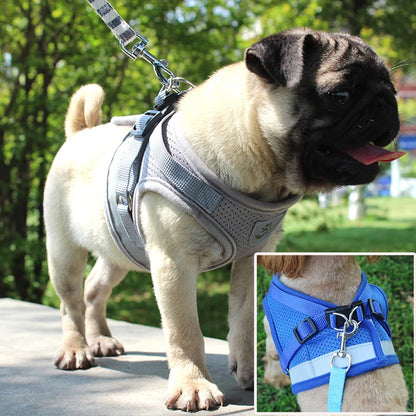 Conjunto Refletivo Cat Harness and Leash, Malha de Nylon, Gatinho, Cachorro, Colete De Cães, Leads De Arnês, Roupa De Animais Para Cães Pequenos, Yorkies, Pug
