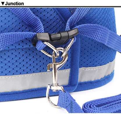 Conjunto Refletivo Cat Harness and Leash, Malha de Nylon, Gatinho, Cachorro, Colete De Cães, Leads De Arnês, Roupa De Animais Para Cães Pequenos, Yorkies, Pug