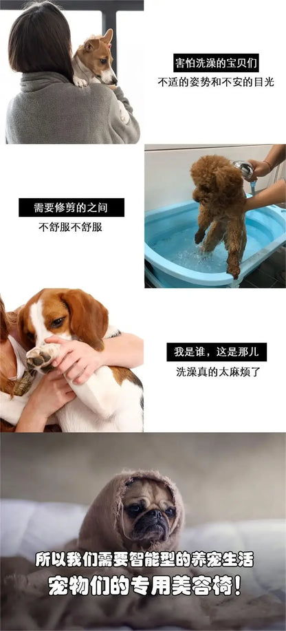 Mesa de cuidados e aliciamento para chuveiro de animais de estimação, rack auxiliar fixo para cães, secador de cabelo especial para banho de animais de estimação, suporte fixo para animais de estimação pequenos e médi