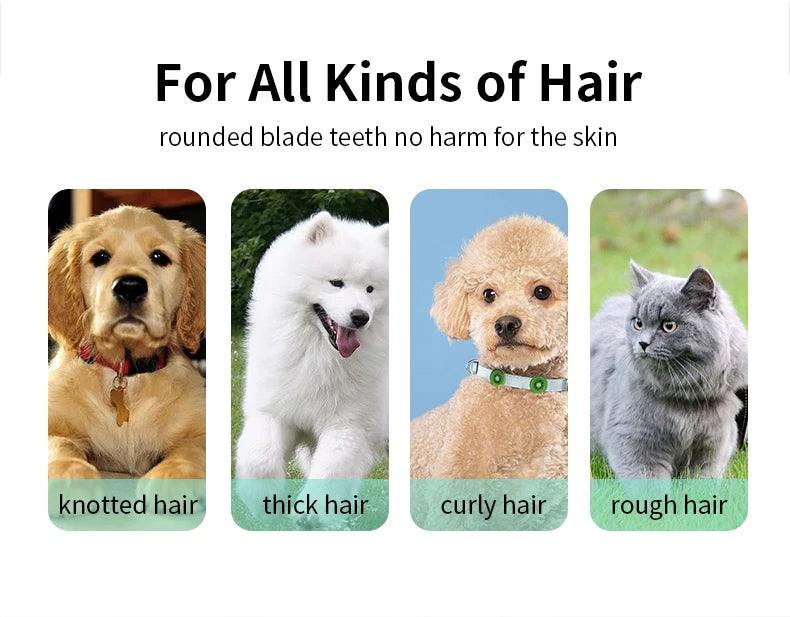 Hospital de aliciamento de animais de estimação para cães e gatos, tesoura elétrica de baixo ruído, elétrica à prova d'água, barbear profissional sem fio