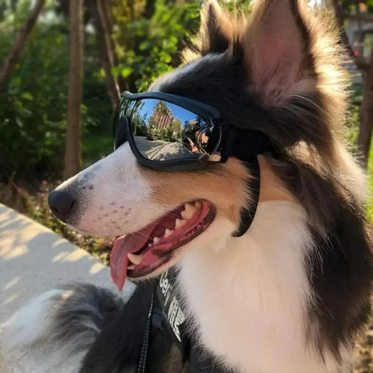 Óculos de sol para cães ajustáveis, óculos de sol anti-uv, proteção para os olhos, preto, amplamente utilizado, suprimentos para cães de estimação