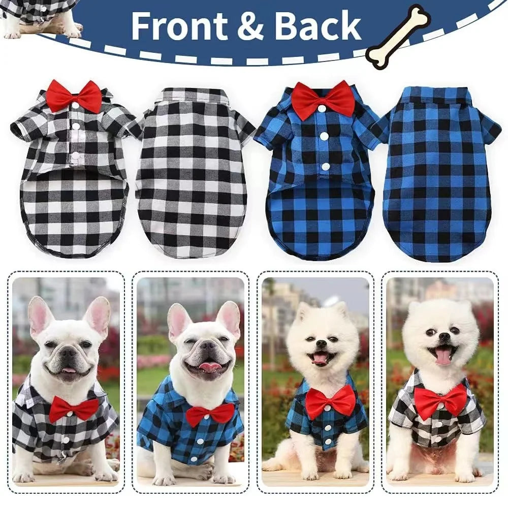 Vestido de casamento para animal de estimação, terno de camisa, pelúcia, bichon, festa de aniversário, suprimentos de roupas, pequeno, médio, grande, primavera, verão, outono