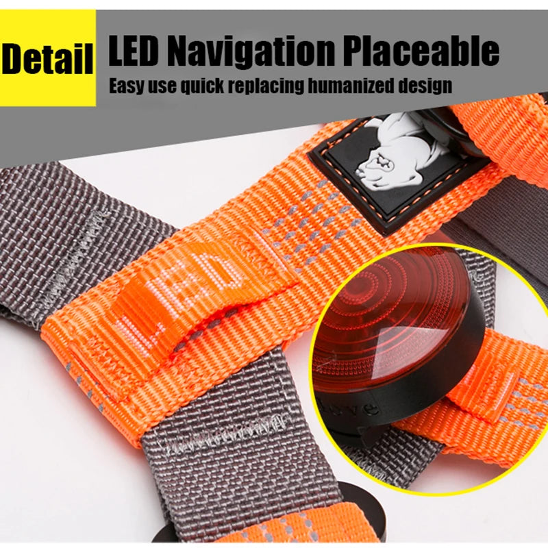 Truelove arnês para animais de estimação, nylon reflexivo ajustável com coleira, luz led, neoprene, acolchoado, caminhadas, corrida, tlh6171, dropshipping