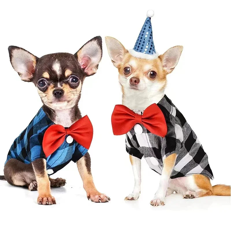 Vestido de casamento para animal de estimação, terno de camisa, pelúcia, bichon, festa de aniversário, suprimentos de roupas, pequeno, médio, grande, primavera, verão, outono
