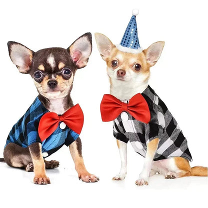 Vestido de casamento para animal de estimação, terno de camisa, pelúcia, bichon, festa de aniversário, suprimentos de roupas, pequeno, médio, grande, primavera, verão, outono