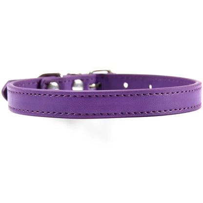 Colar de couro colorido para cachorro, gato e gatinho, colar personalizado com nome, acessórios para animais, arnês