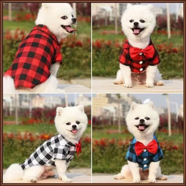 Vestido de casamento para animal de estimação, terno de camisa, pelúcia, bichon, festa de aniversário, suprimentos de roupas, pequeno, médio, grande, primavera, verão, outono