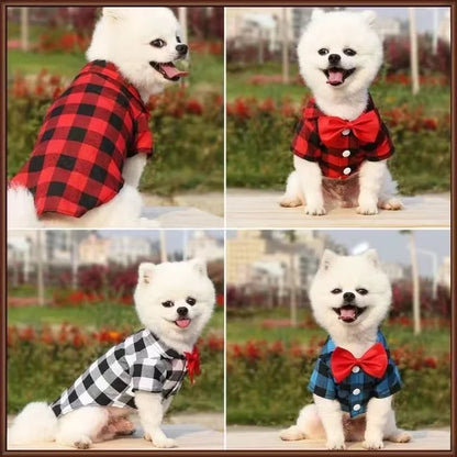 Vestido de casamento para animal de estimação, terno de camisa, pelúcia, bichon, festa de aniversário, suprimentos de roupas, pequeno, médio, grande, primavera, verão, outono