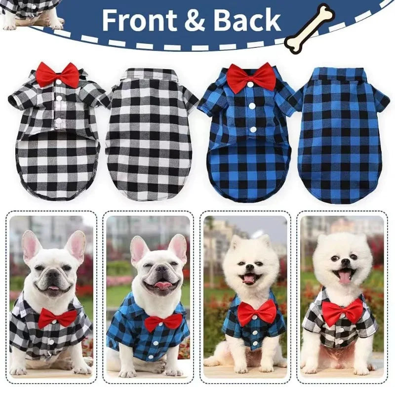 Vestido de casamento para animal de estimação, terno de camisa, pelúcia, bichon, festa de aniversário, suprimentos de roupas, pequeno, médio, grande, primavera, verão, outono