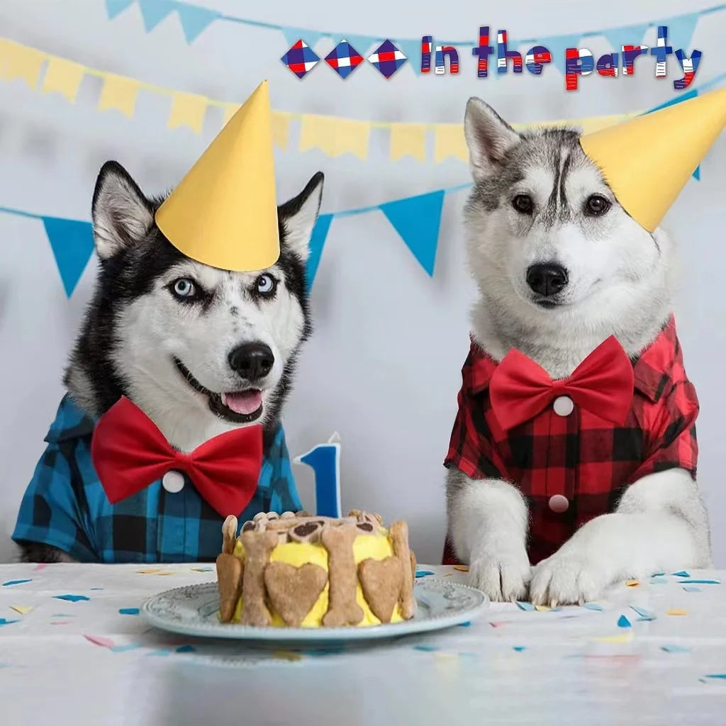 Vestido de casamento para animal de estimação, terno de camisa, pelúcia, bichon, festa de aniversário, suprimentos de roupas, pequeno, médio, grande, primavera, verão, outono