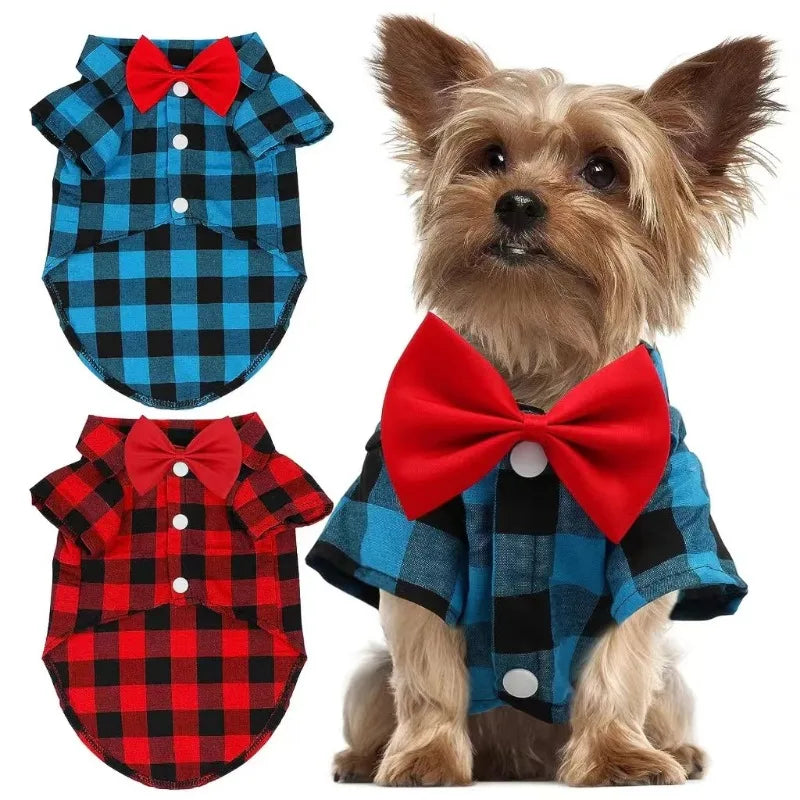 Vestido de casamento para animal de estimação, terno de camisa, pelúcia, bichon, festa de aniversário, suprimentos de roupas, pequeno, médio, grande, primavera, verão, outono