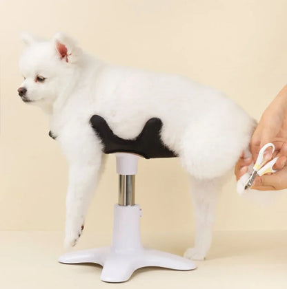 Mesa de cuidados e aliciamento para chuveiro de animais de estimação, rack auxiliar fixo para cães, secador de cabelo especial para banho de animais de estimação, suporte fixo para animais de estimação pequenos e médi