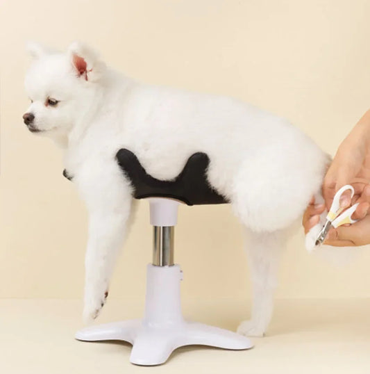 Mesa de cuidados e aliciamento para chuveiro de animais de estimação, rack auxiliar fixo para cães, secador de cabelo especial para banho de animais de estimação, suporte fixo para animais de estimação pequenos e médi